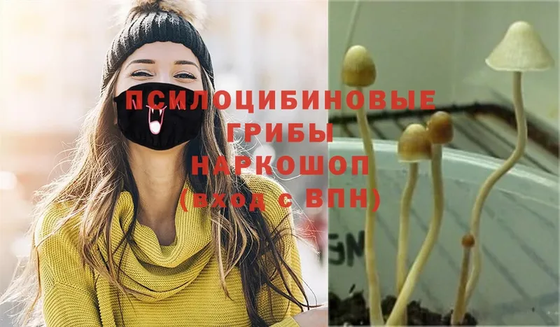 Галлюциногенные грибы Magic Shrooms  Олёкминск 